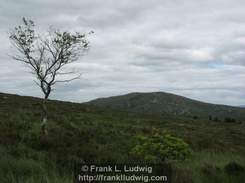 Slieve Daeane, Birds Mounatin